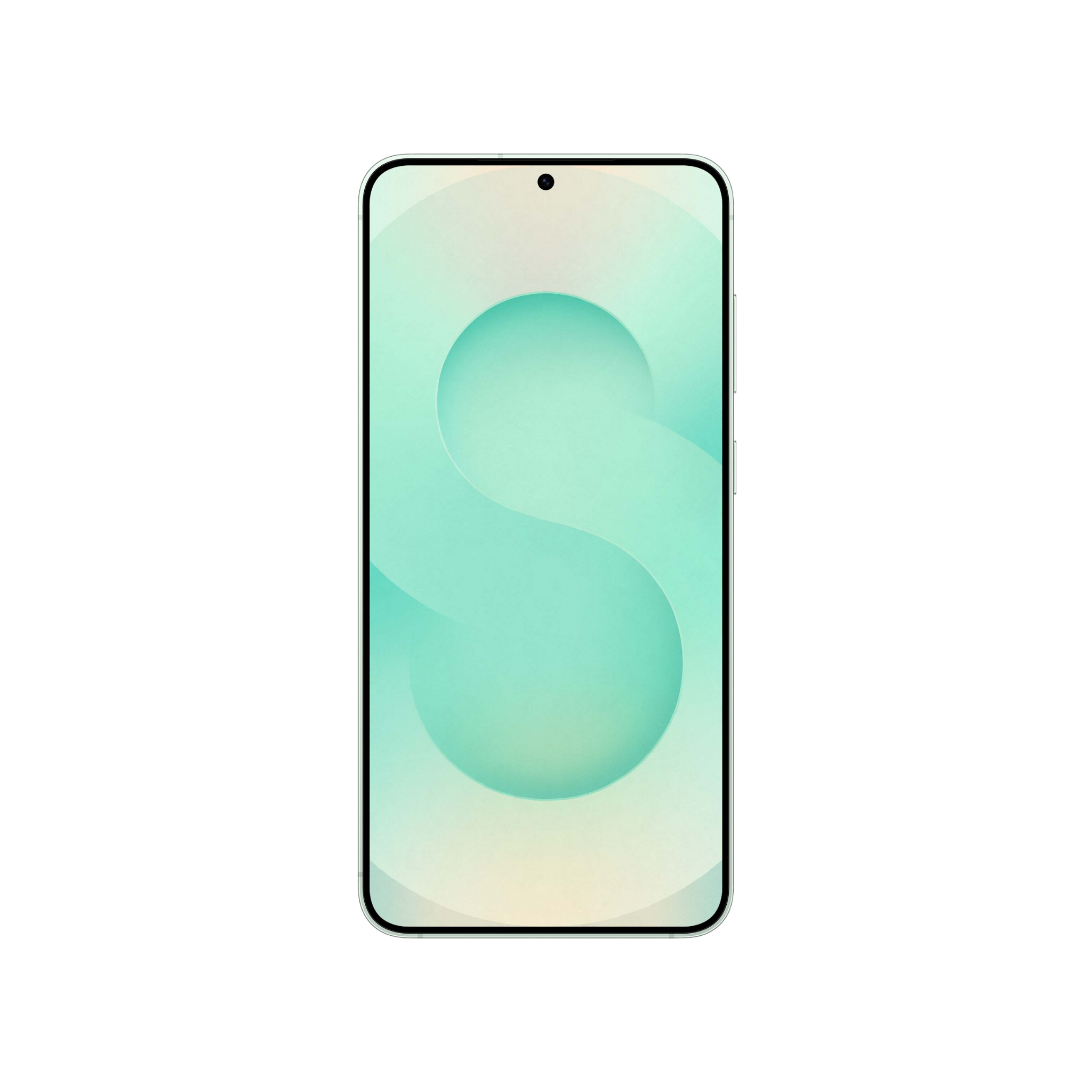 #color_mint

