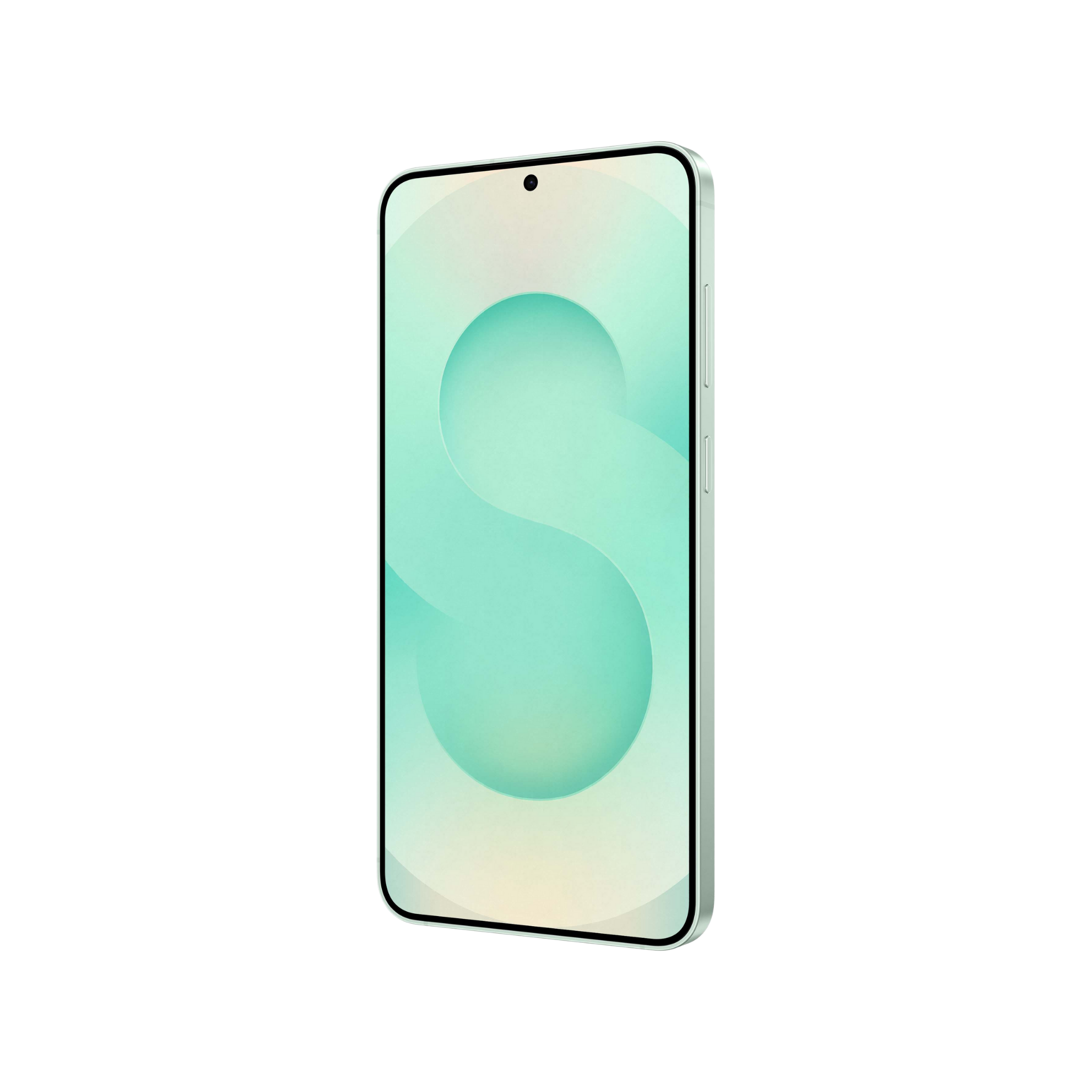 #color_mint